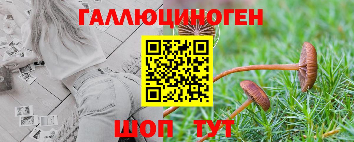 купить наркотик  Галлюциногенные грибы ЛСД  Вход с VPN  Псилоцибиновые грибы мухоморы  Клин 